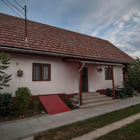 Dobra Haz Hotell Covasna Exteriör bild